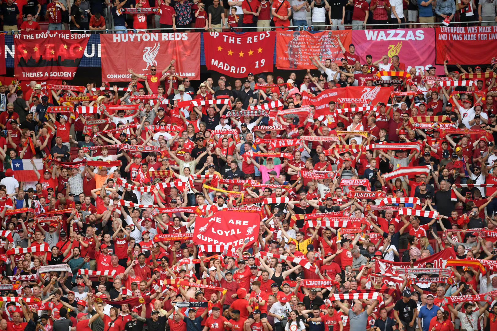 我的订单 我的订单