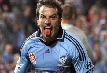 室的协同速 室的协同速